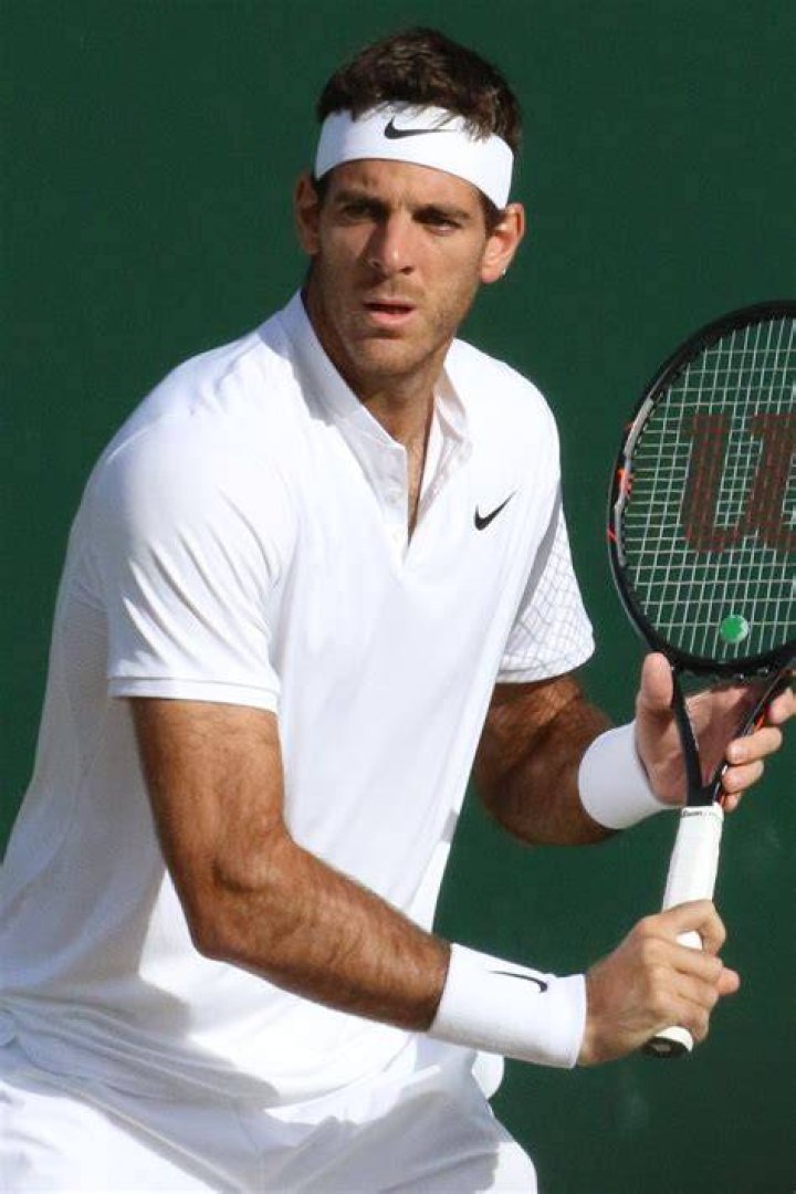 
Juan Martín del Potro Height, Weight, Net Worth, Age, Birthday, Wikipedia, Who, Nationality, Biography 
