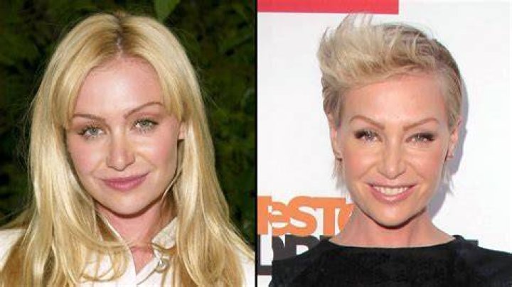 Truth About Portia de Rossi Had Plastic Surgery