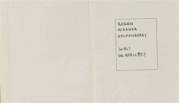 
What Happened to Regan Hockenberry? Who is Regan Hockenberry? 